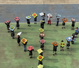 Gallery kite